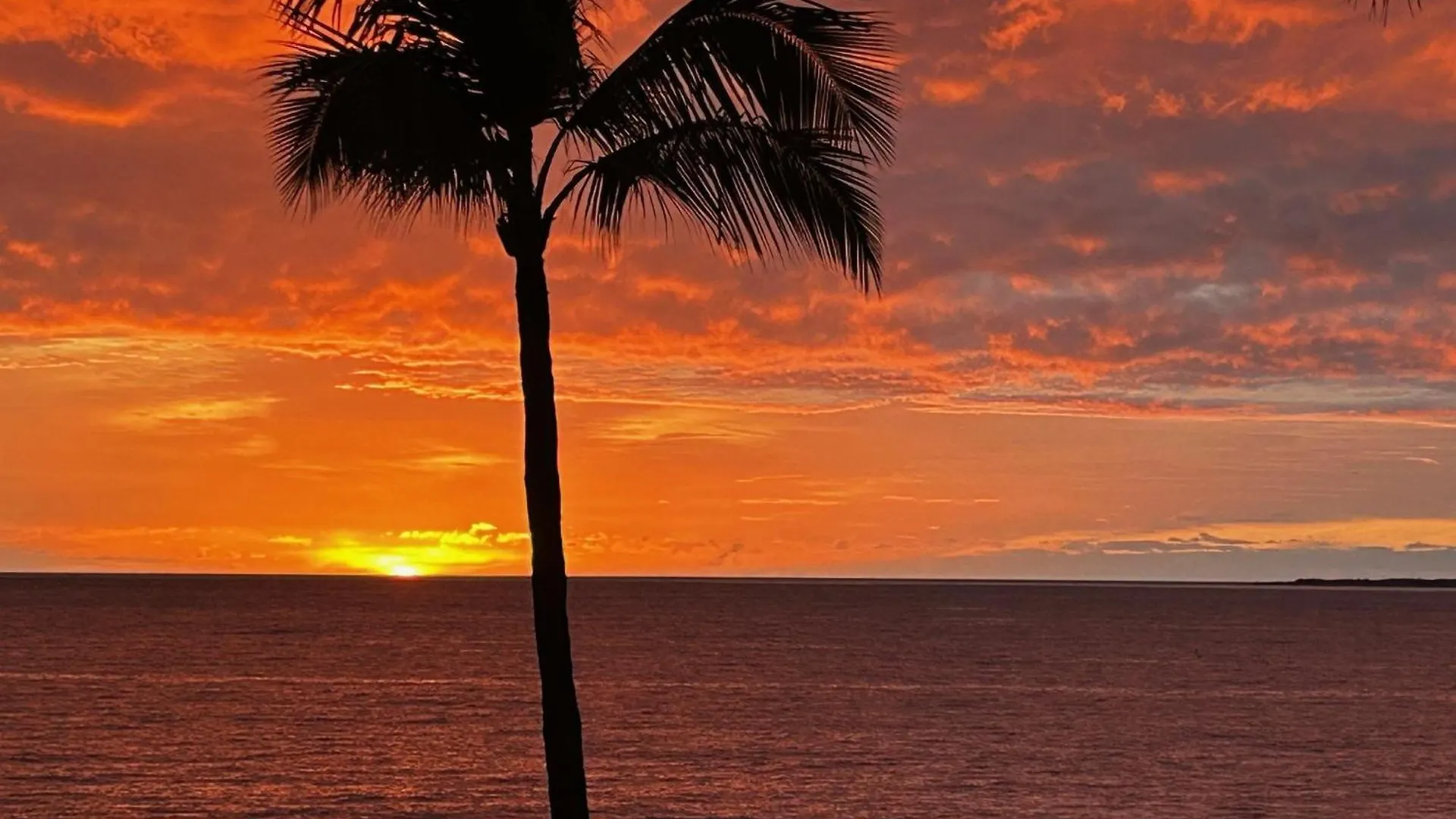 Alii Villas 227 Hale O Naia Kailua-Kona USA